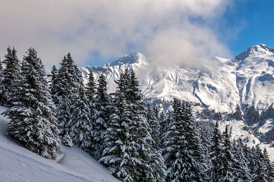 paisaje, lenzerheide, graubünden, suiza, alpino, invierno, nieve, invernal, nevado, montañas