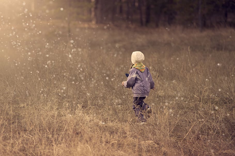 toddler, wearing, purple, jacket, standing, green, grass field, kid, child, girl