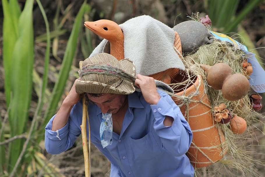 peasant, field, worker, art, colombia, man, hat, one person, land, food