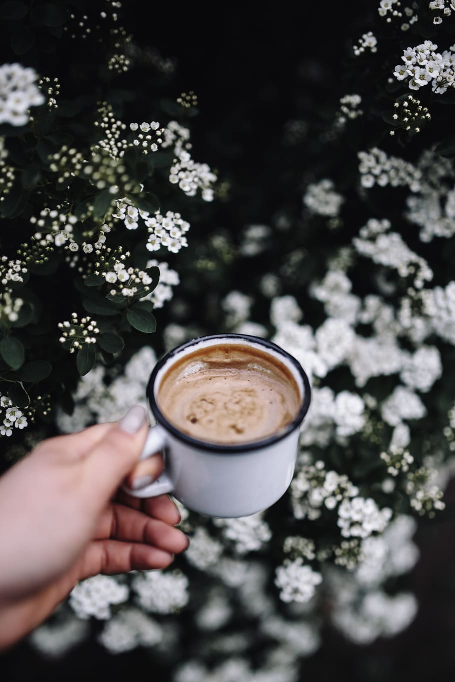 flowers, garden, coffee, cup, cappucino, late, outdoors, Morning, human hand, coffee - drink