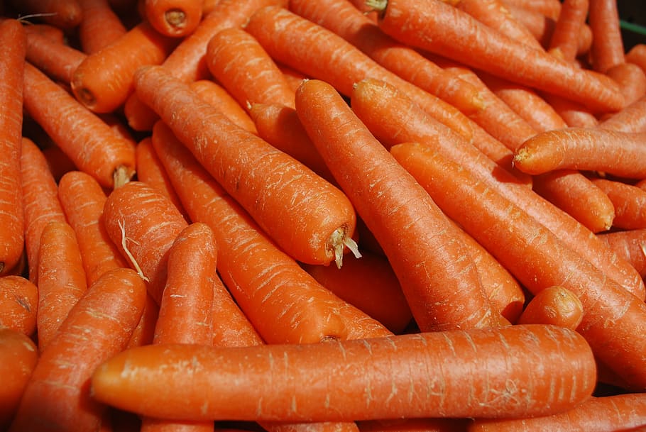lote de zanahorias, zanahorias, saludable, naranja, comida y bebida, salchichas, frescura, alimentos, mariscos, sin gente