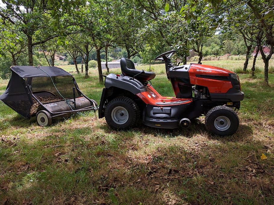Tractor, Sweeper, Leaves, Apple Trees, sweeper leaves, tree, outdoors, grass, day, plant