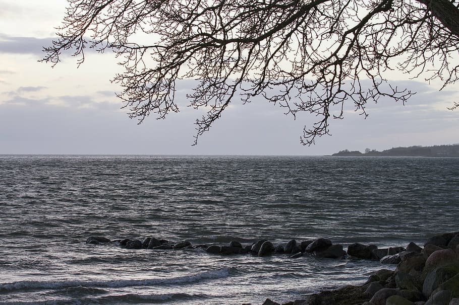 mar, beira da água, nuvens, praia, bonita, natural, Dinamarca, céu, horizonte, praia dinamarquesa
