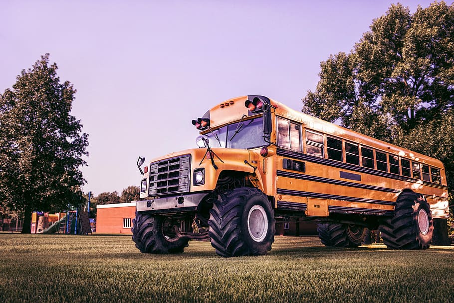 yellow, grass field, daytime, yellow school bus, grass, field, objects, whimsical, lazy, bus