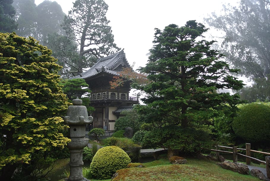 San Fransisco, Fog, Pagoda, japanese tea garden, japanese garden, golden gate park, pond, california, usa, tree