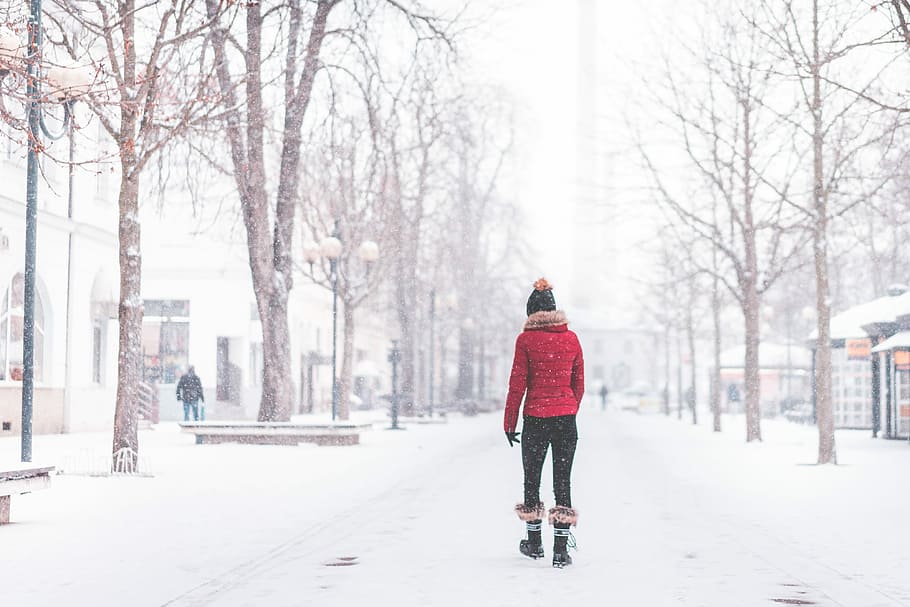 若い, 女性, 公園, 歩く, 一人で, 公園で, 雪に覆われた, 天気, 寒い, 女の子