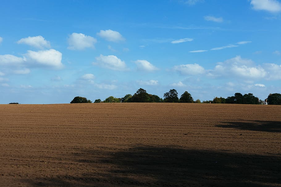 fotografía de paisaje, campo, foto, marrón, granja, suciedad, suelo, árboles, azul, cielo