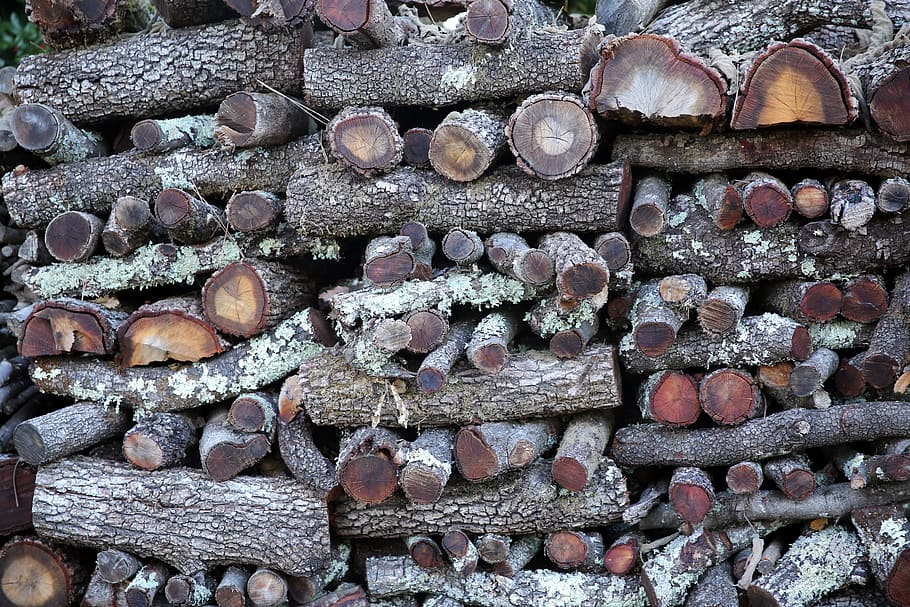 Un, stère, verts, tumpukan kayu bakar coklat, sekelompok besar objek, kayu, log, kayu bakar, kelimpahan, pohon