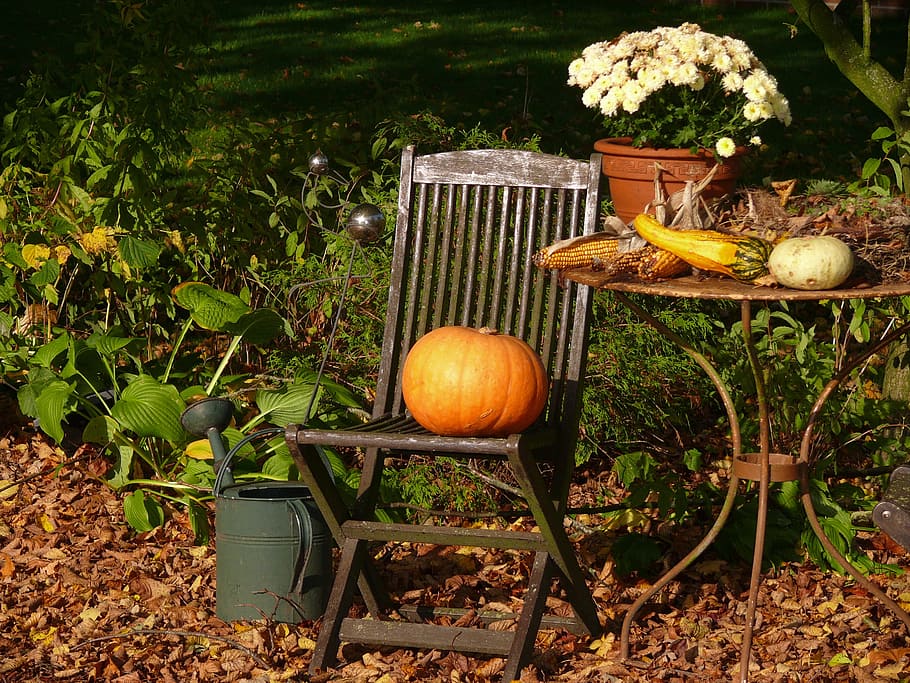 naranja, calabaza, plegable, silla, hojas, colorido, color, deco, otoño, comida y bebida