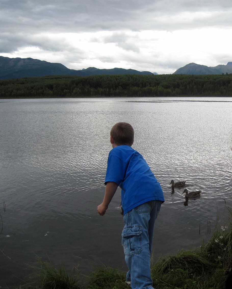 boy, feeding, two, ducks, body, water, daytime, alaska, lake, mountains