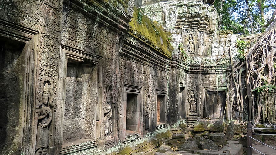 ankor wat, cambodia, cambodia, angkor, temple, ta prohm, history, asia, temple complex, root, tree