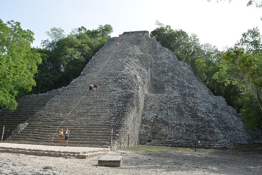 coba, ruins, maya, plant, tree, architecture, history, ancient, the past, real people