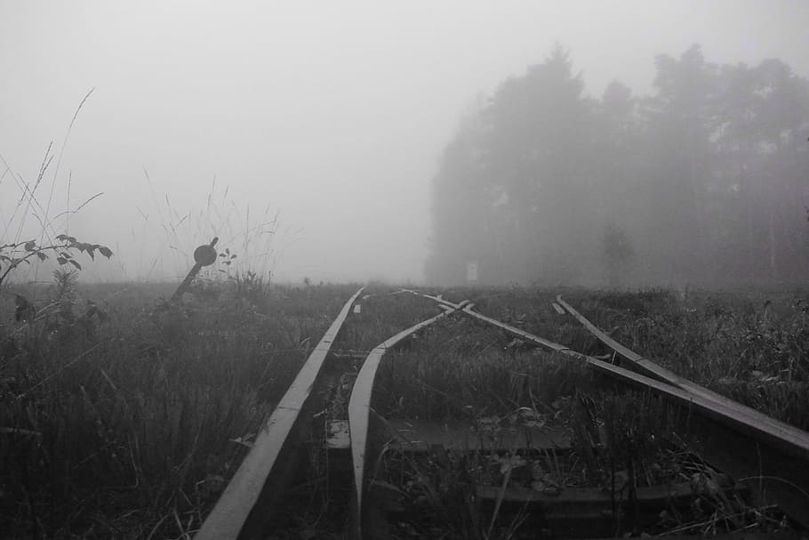 Fog, Landscape, Moorland, Nature, Gloomy, wetland, seemed, train, railroad track, day