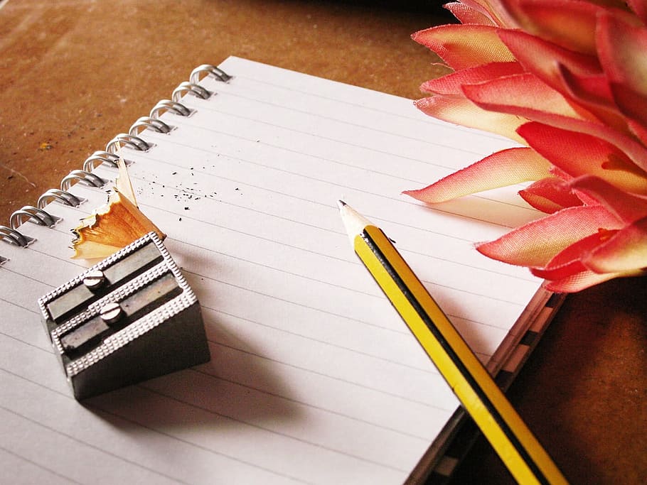 fotografia, lápis, cinza, apontador, caderno, escrita, notas, papel, flores, escrever