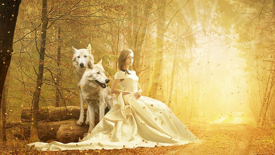 woman, sitting, two, white, wolf, fantasy, autumn, fall, nature, forest