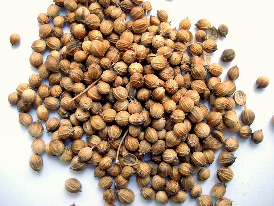 bunch of walnut, coriander, coriander fruit, large group of objects, food, food and drink, freshness, wellbeing, brown, healthy eating