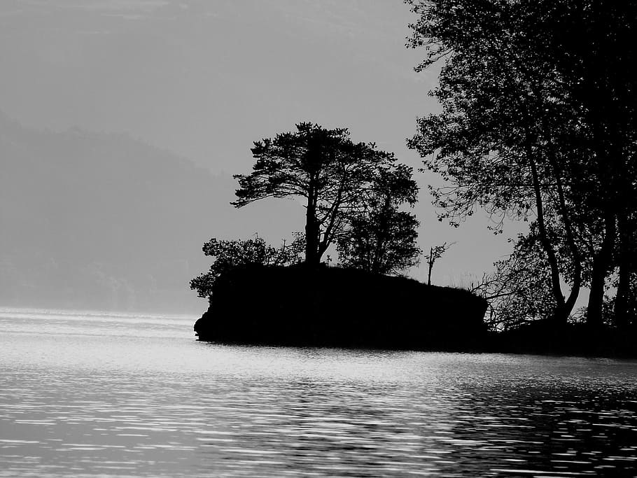 landscape, nature, black and white, against day, water, lake, reflections, trees, contrast, morning