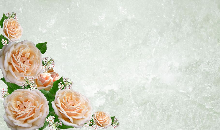peach-colored roses wallpaper, greeting card, flower, wedding, desktop, bouquet, rose, flowering plant, plant, rose - flower