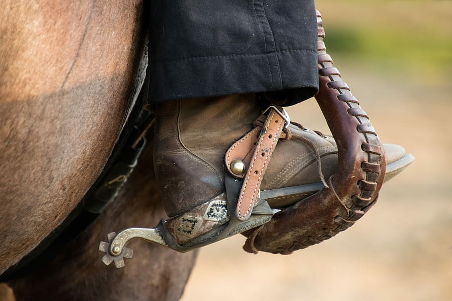 cavalo, passeio, natureza, ocidental, esporos, botas, pé, perna, couro, parte do corpo humano