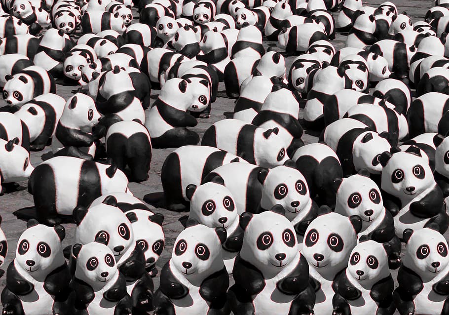 Também, Panda, decorações de Panda, abundância, grande grupo de objetos, imagem completa, ninguém, fundos, representação, ambiente interno