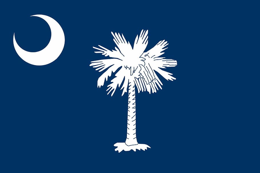 flag, south, carolina, Flag of South Carolina, public domain, south carolina, symbol, United States, illustration, vector