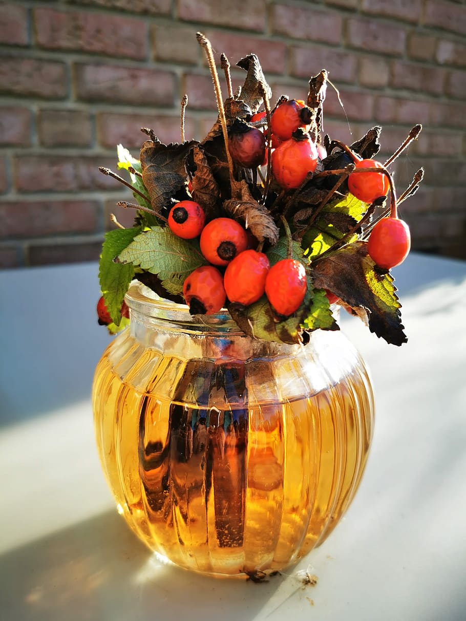 winter, autumn, berries, nature, glass, vase, mood, withered, dead, mourning