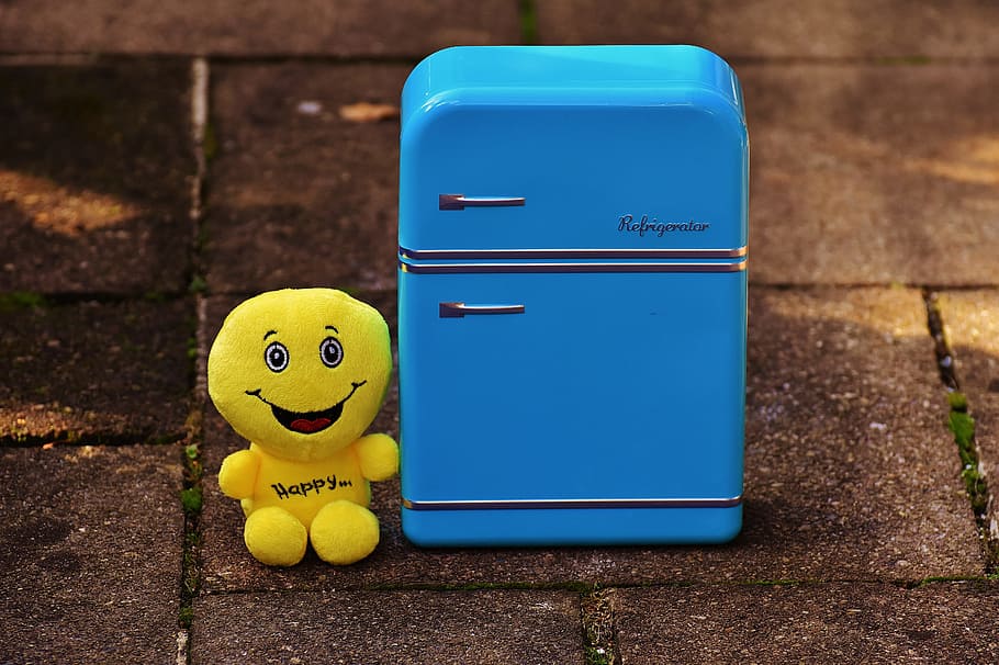yellow, plush, toy, blue, top-mount refrigerator, full fridge, happy, smiley, funny, cheerful