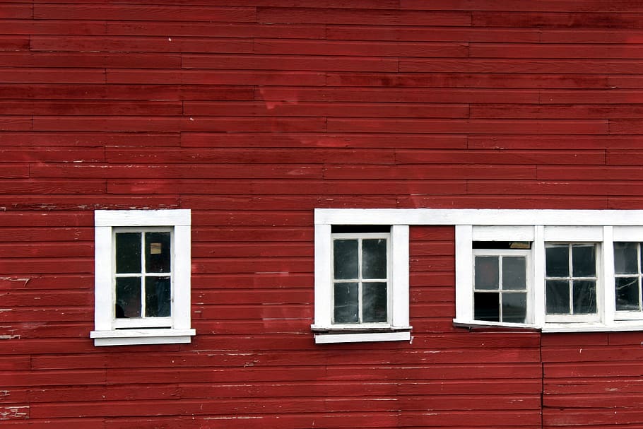 janelas, vermelho, celeiro, branco, venezianas, tapume, lado, janela, exterior do edifício, estrutura construída