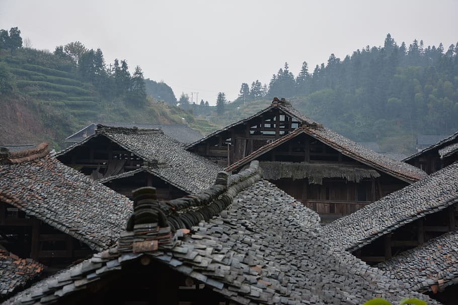 casas, tejas, techos, chino, tradicional, vivienda, diseños, arquitectura, arcilla, marrón
