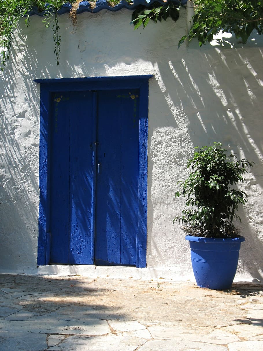 weeping, fig plant, vase, blue, door, wood, stucco, greece, home, doorway