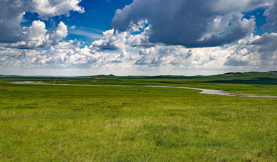paisaje, prado, cielo, nube, río kherlen, pastoreo, mongolia, nube - cielo, medio ambiente, hierba