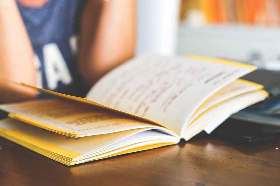 person, front, yellow, book, girl, woman, female, read, reading, notebook
