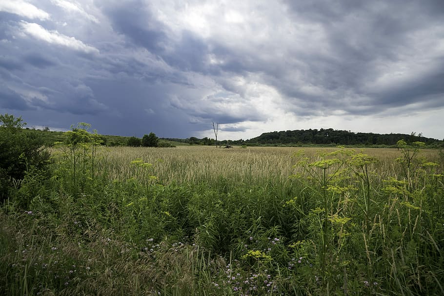 goose lake wildlife area, Stormy, Clouds, Grassland, Marsh, Goose Lake, Wildlife Area, featured, landscape, landscapes