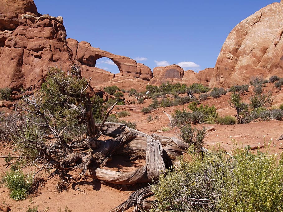 Wilson Arch, Parque Nacional Arches, Utah, EE. UU., Suroeste de EE. UU., Moab, roca, arcos, puente natural, paisaje