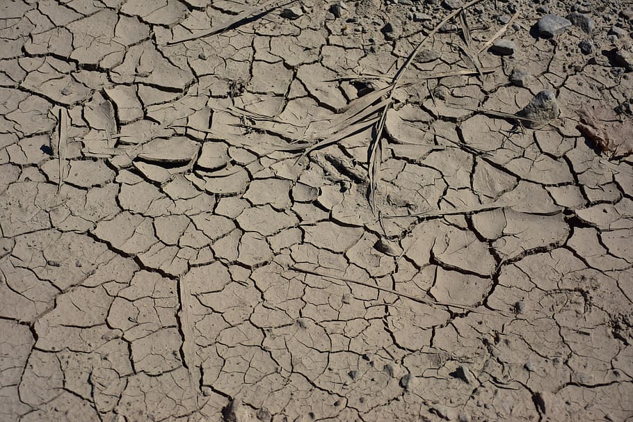 texture, cracked, ground, sand, plain background, surface, dirty, crack, arid climate, drought