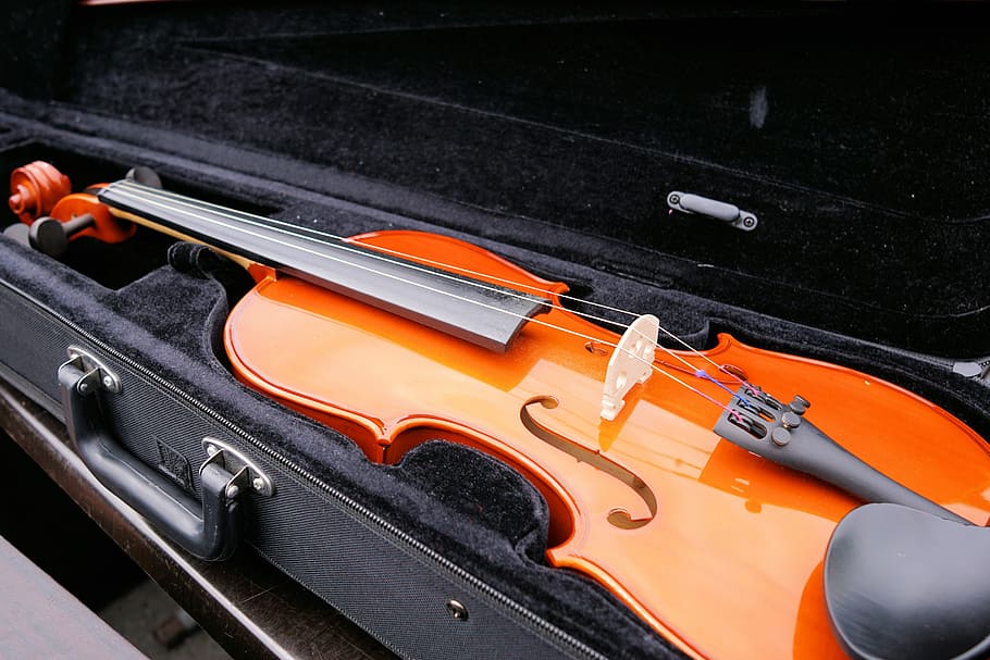 brown, inside, black, case, Violin, Stringed Instrument, instrument, sound, classic, music