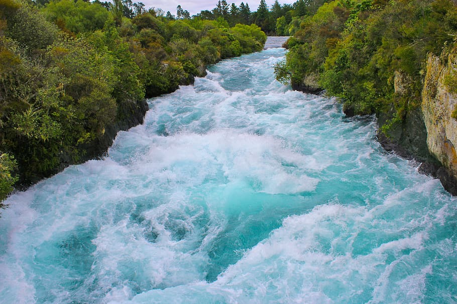 river, rushing, water, flowing, green, plants, daytime, green plants, huka river, waterfall