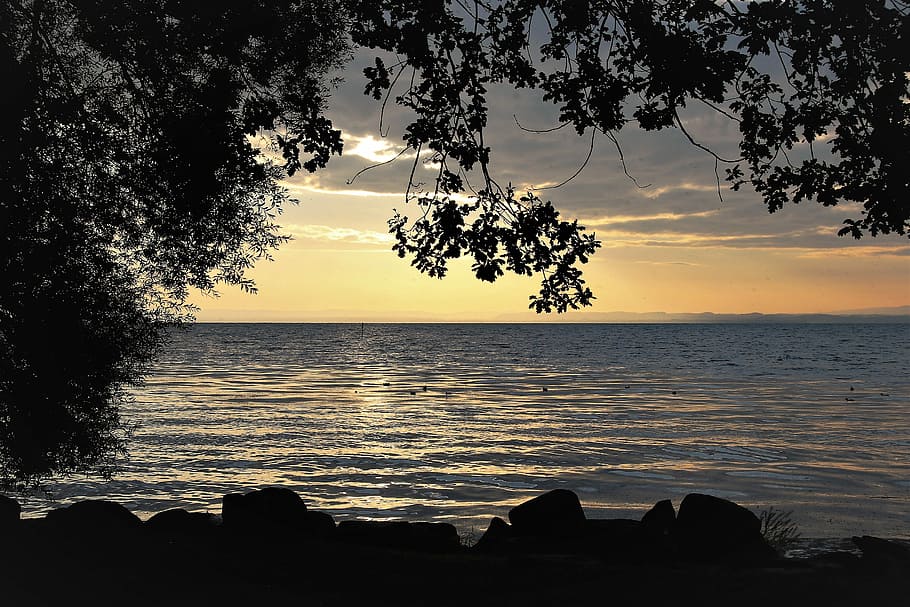 body, water, trees, morning, lake, beach, dawn, mood, peace of mind, bodensee