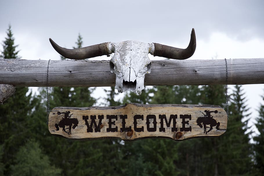 bienvenido, señalización, durante el día, occidental, cuernos, rancho, salvaje, oeste, cráneo, toro