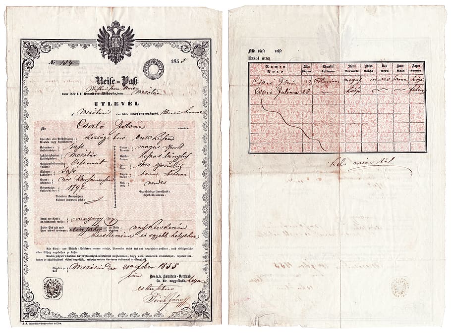 hungarian, passport, 1855, paper, document, office, paperwork, person, pen, report