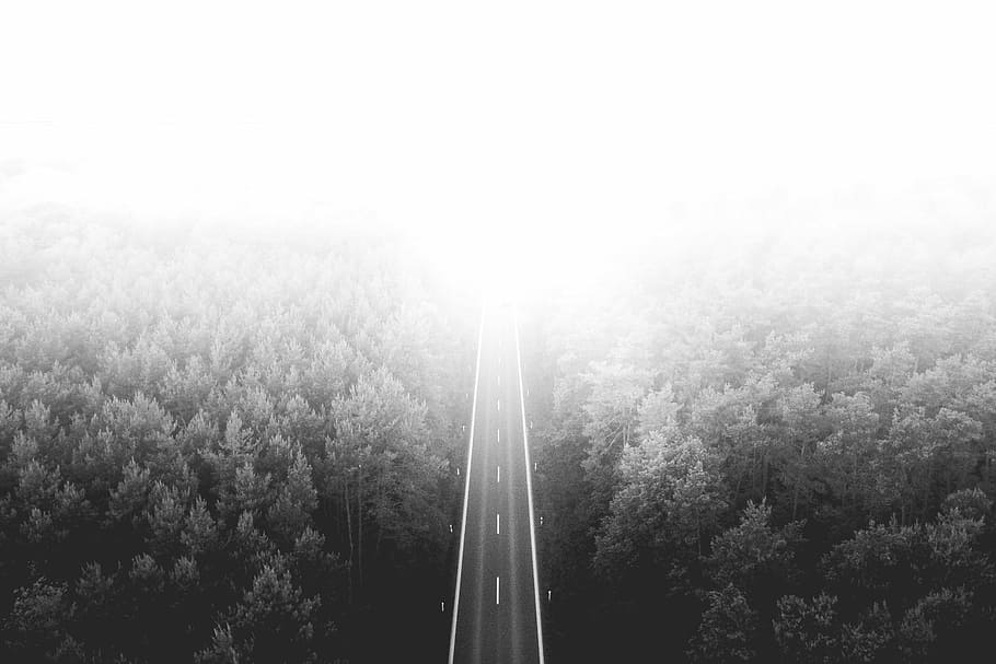 lonely, road, Long, Lonely Road, Woods, abstract, aerial, bw, drone photography, drones