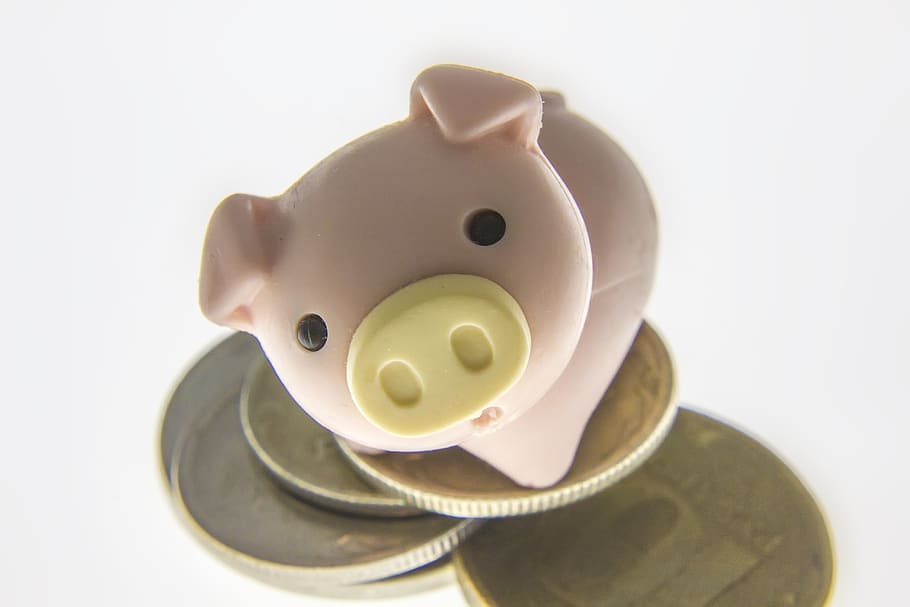 toy, finances, financial, symbol, pig, ruble, money, coins, funny, cute