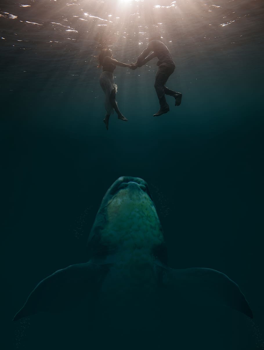 couple underwater shot, photo montage, surreal, fantasy picture, background, fantasy, digital art, photoshop, mood, background image