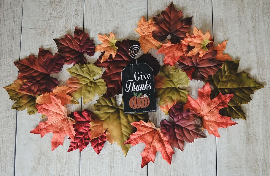秋, 秋のシーズン, 秋のアイコン, 秋の色, 葉, 紅葉, 感謝祭, 感謝, 上から, カラフル