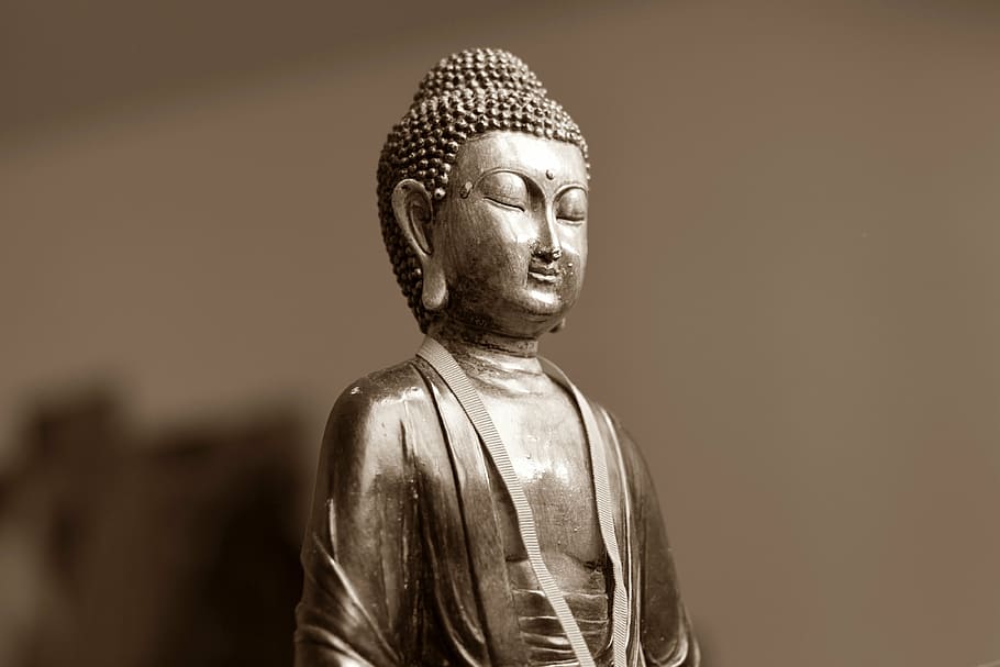 gray buddha figurine, buddha, meditation, east, eastern, spiritual, statue, religion, sculpture, belief
