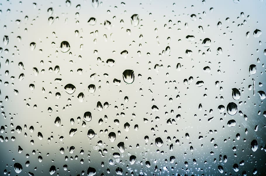 water droplets, clear, glass panel wallpaper, drops, rain, window, glass, rain drops, water, nature