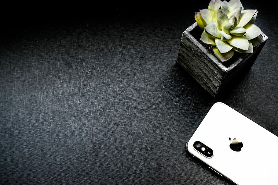 silver iphone x, succulent, plant pot, table, iphone, cellular, iphone x, juicy, apple, technology