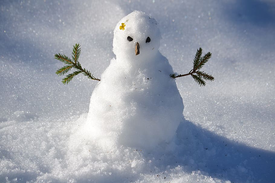 눈사람 사진, 눈사람, 눈, 겨울, 추운 온도, 자연, 겨울 왕국, 표현, 아니 사람, 일