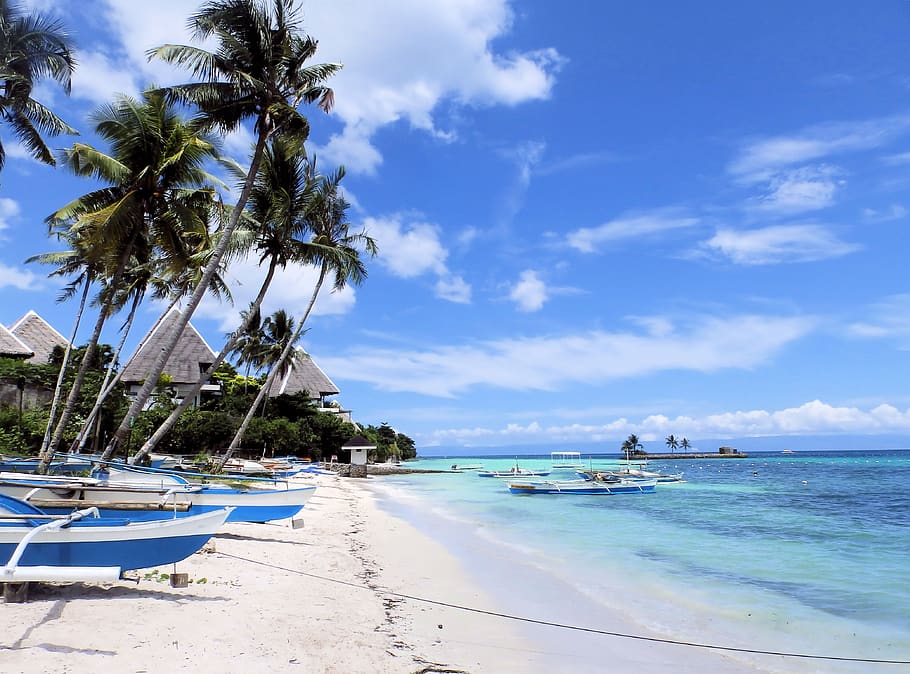 philippines, beach, holidays, the coast, boats, boat, a fishing village, ocean, bohol, palm trees