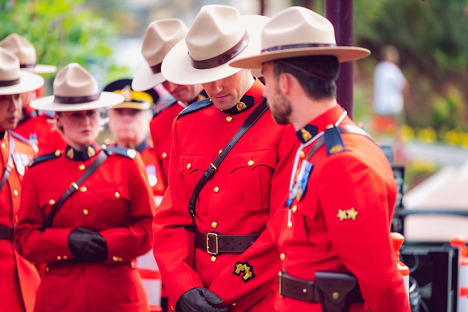 policía montada, rcmp, canadiense, canadá, uniforme, mountie, sombrero, evento, montado, real